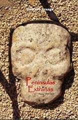 A stone head with a face carved into it

AI-generated content may be incorrect.