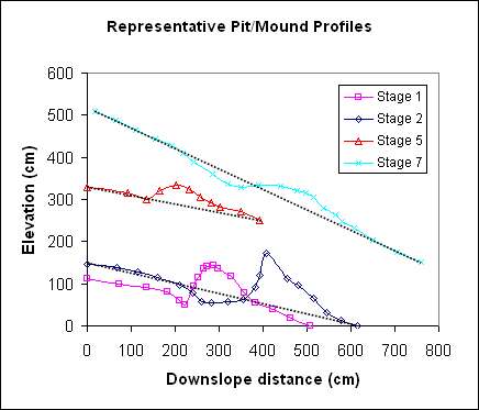 Pit-Mound-Evolution-Log-Stage