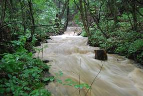 WheelerCreek02082009.jpg
