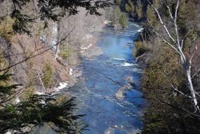 CanajoharieCreekSpring08.JPG