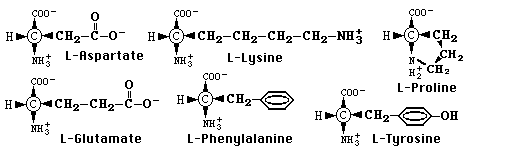 Structures of 6 amino acids