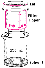 Cylinder Development Diagram