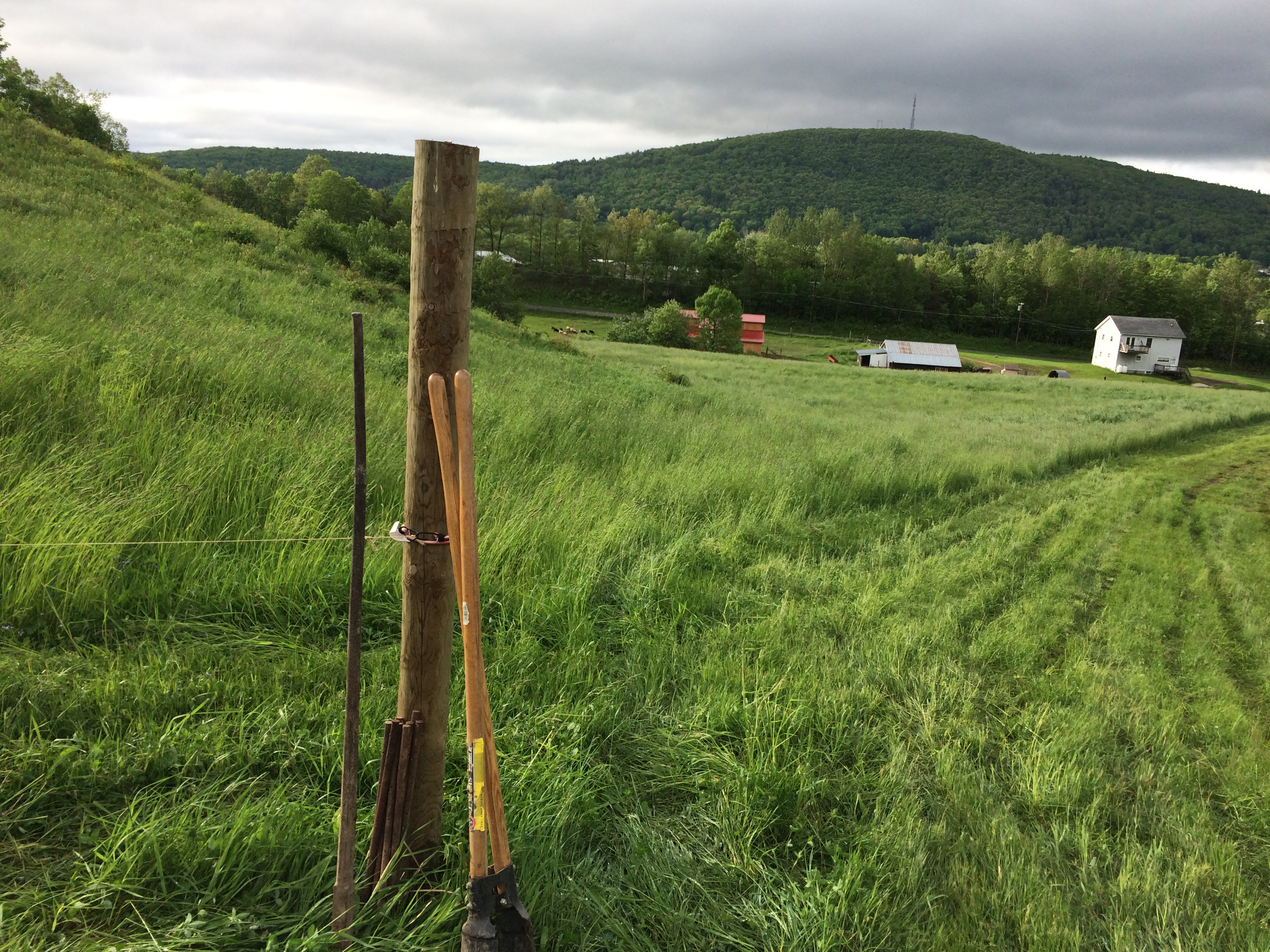 fencing at the farm