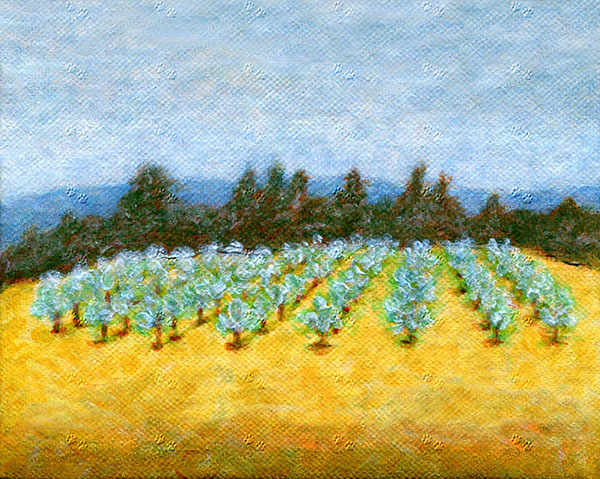 24. Nagog Orchard Study (Acrylic)