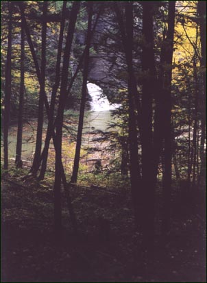photo of Minekill Falls framed by trees - copyright 1999 William Romot used by permission