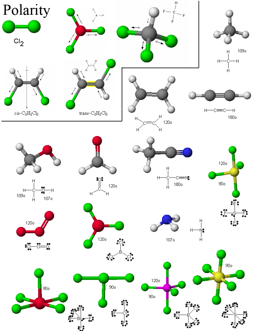 download Molecular Biological Technologies for Ocean